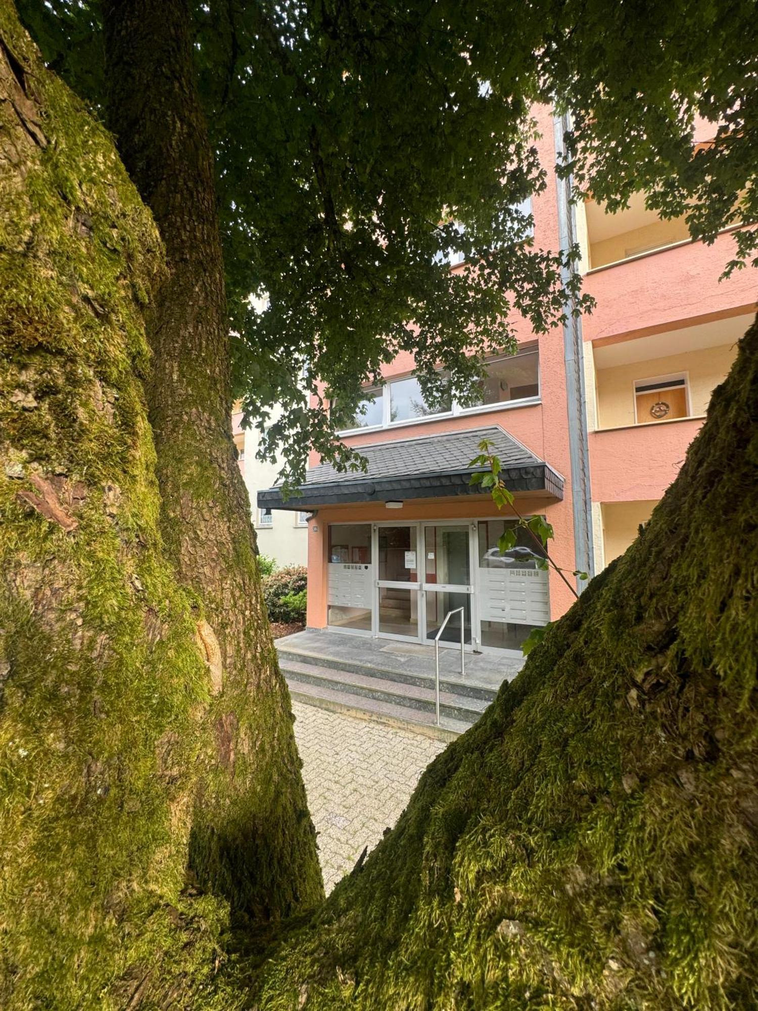 Ferienwohnung Brilon - Willingen Ngoại thất bức ảnh